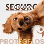 SEGURO-DE-MASCOTAS